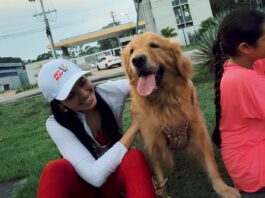 1ª Corrida Pet de Manaus terá arrecadação solidária de ração para ONGs de proteção animal