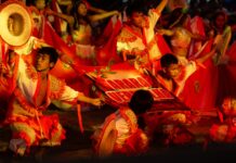 Arara Vermelha vence Festival Folclórico da Vila Amazônia