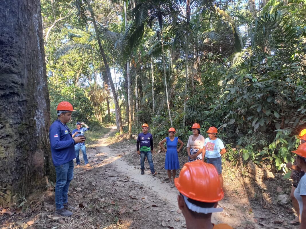 Foto: Divulgação / Idam