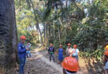 Idam já capacitou 272 extrativistas como parte do projeto Paisagens Sustentáveis da Amazônia em 2025