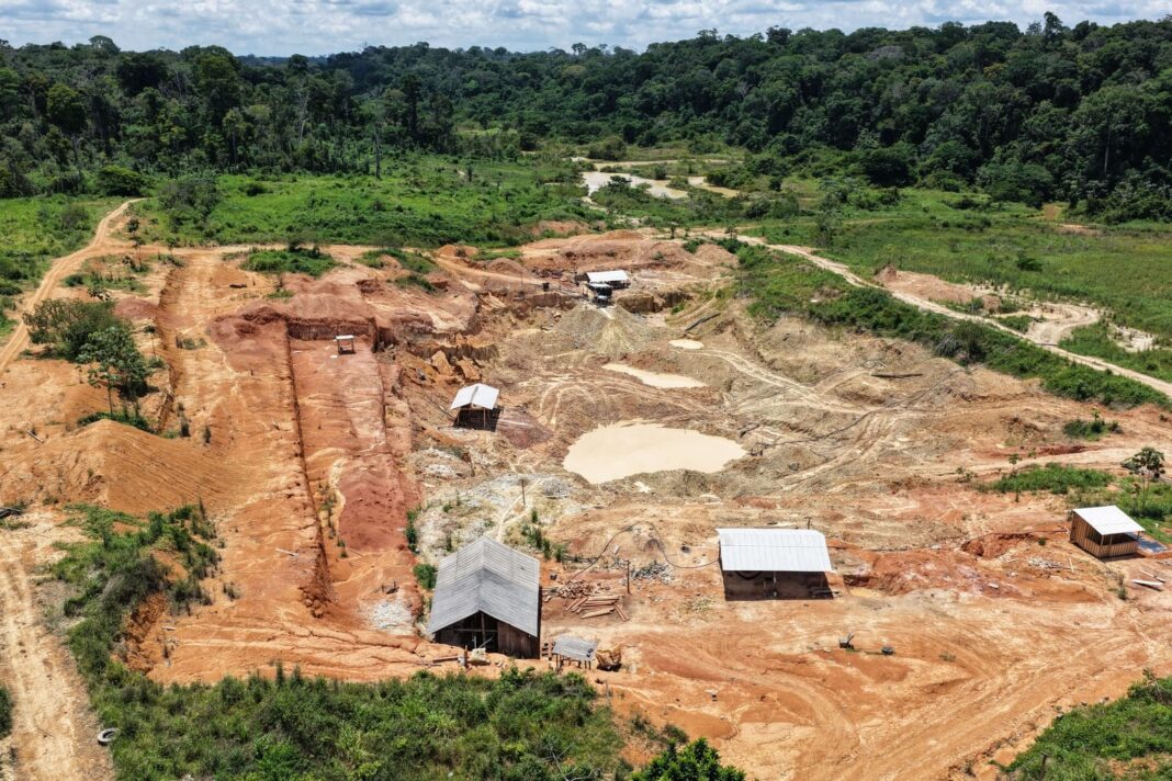 Foto: Divulgação / Ipaam