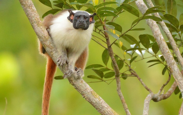 d526d241-8000-4628-b567-41183b492e9a