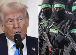 Hamas aceita liberar reféns israelenses em acordo de paz proposto por Trump