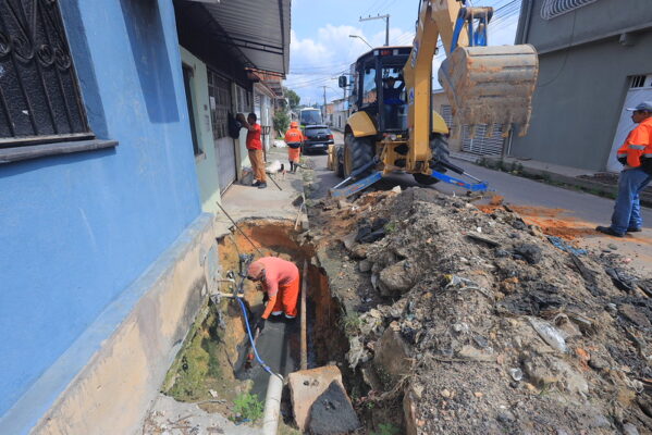 54933017654_524bd62e06_c