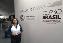 Amazonas na COP 30: Nilton Lins representa a região em evento global