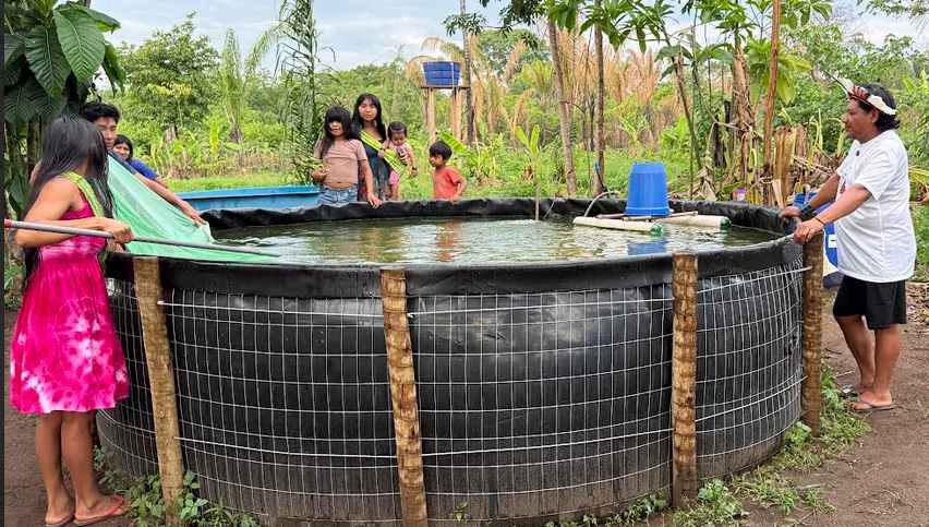 Captura de tela 2025-11-10 125659