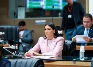 Mayra Dias propõe PL ‘Homem que Respeita’ de combate à violência contra a mulher no Amazonas