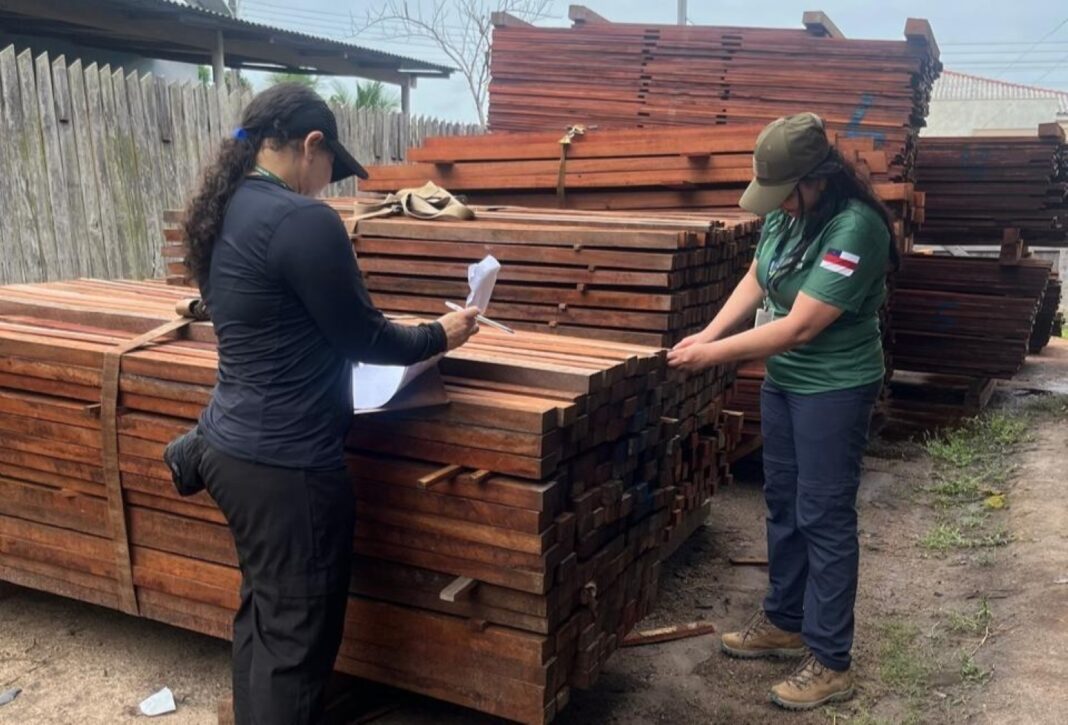 Foto: Arquivo / Ipaam