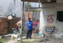 Polícia Civil do Amazonas prende mulher por maus-tratos a dois cães no bairro Colônia Terra Nova