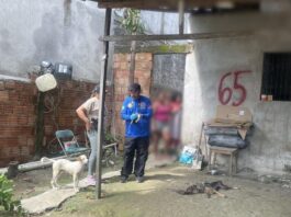 Polícia Civil do Amazonas prende mulher por maus-tratos a dois cães no bairro Colônia Terra Nova