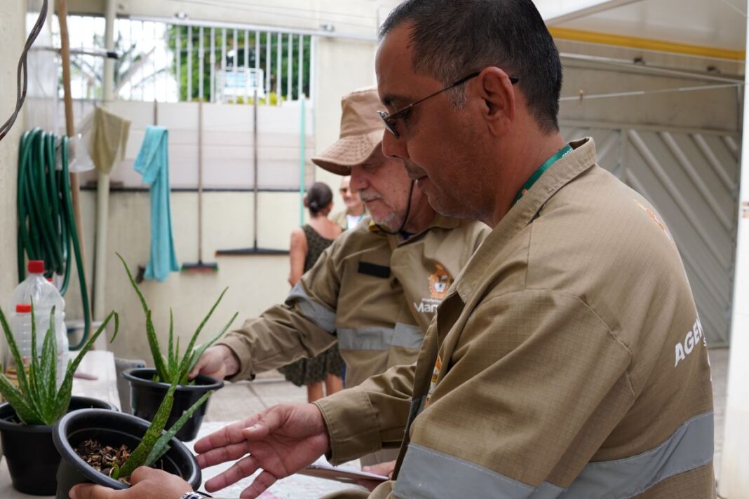 Semsa Manaus LIRAAa 8