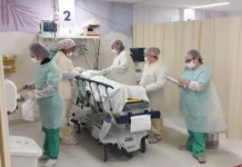 Ex-chacrete morre após ataque de pitbull do próprio filho