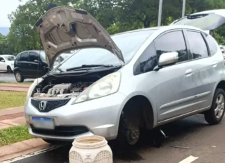 Jiboia gigante “abraça” amortecedor de carro e mobiliza 3 horas de resgate (VÍDEO)