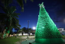 Composta por mais de cinco mil mudas, Prefeitura de Manaus inaugura ‘Árvore Viva’ no CSU do Parque 10