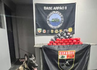 Base Arpão 2: PMAM apreende 15 quilos de entorpecentes escondidos entre garrafões de água