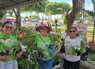 Prefeitura de Parintins apresenta diversidade da produção em Feirão na 38ª Expopin
