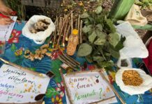 Em Iranduba, Idam reúne agricultores familiares de diversas localidades para Curso de Sistemas Agroflorestais