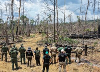 Operação Tamoiotatá 2025: Ipaam aplica R$ 144,7 milhões em multas por crimes ambientais no sul do Amazonas