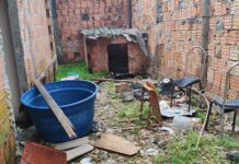 PC-AM reforça combate ao abandono e aos maus-tratos de animais e alerta para riscos de canis clandestinos