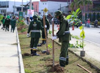 Prefeitura de Manaus atinge marca histórica com plantio de mais de 30 mil mudas no ano