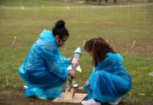 Protagonismo feminino na ciência: Meninas conquistam 11.725 medalhas na OBAFOG 2025