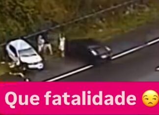 Tragédia na BR-101: Motorista invade acostamento e atropela policiais e civis na véspera de Natal (VÍDEO com cenas fortes)