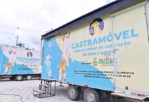 Castramóvel da Sepet-AM atende o bairro Jorge Teixeira com castração gratuita
