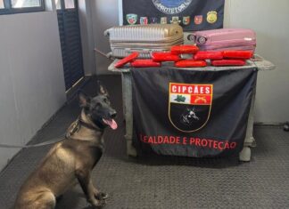Cadela policial Athena localiza nove quilos de pasta-base de cocaína