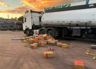 PF apreende 8 toneladas de drogas e armamento pesado em carreta