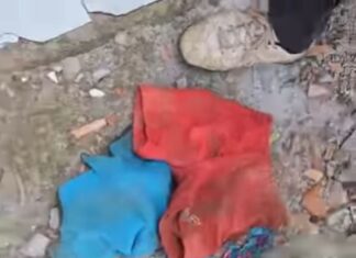 Urgente: Voluntários encontraram roupas infantis durante oitavo dia de buscas por crianças desaparecidas