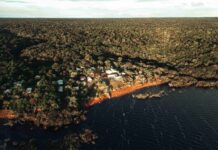 Webinar online apresenta edital “Prospera Sociobio” para criação de Núcleos de Desenvolvimento na Amazônia