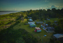 Inscrições para edital que cria Núcleos de Desenvolvimento da Sociobioeconomia na Amazônia são prorrogadas