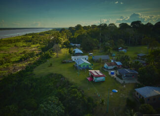 Inscrições para edital que cria Núcleos de Desenvolvimento da Sociobioeconomia na Amazônia são prorrogadas