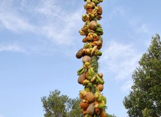 Em Parintins: Festa de São Sebastião reafirma fé, resistência e cultura no Terreiro da Mãe Bena