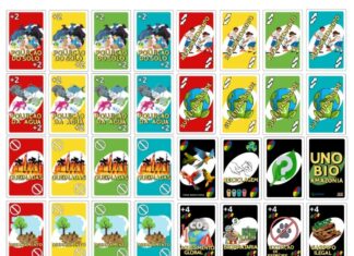 Estudantes desenvolvem jogo didático que estimula a preservação da fauna e flora amazônica