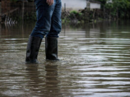 Chuvas intensas elevam risco de leptospirose no Amazonas