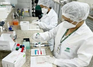 Esporotricose 2025: Amazonas atualiza boletim epidemiológico e reforça protocolo de notificação