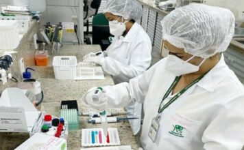 Esporotricose 2025: Amazonas atualiza boletim epidemiológico e reforça protocolo de notificação