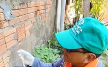 Prefeitura de Parintins intensifica prevenção contra as arboviroses