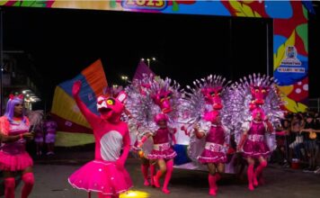 Com o tema Gabi Guarani, Bloco Pantera cor de Rosa inicia a caminhada Rumo ao Carnailha 2026