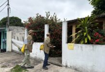 Prefeitura de Manaus utilizará nova estratégia para monitoramento e controle do Aedes aegypti em 2026