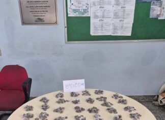 PMAM captura foragido da Justiça por roubo que estava em posse de 425 trouxinhas de maconha