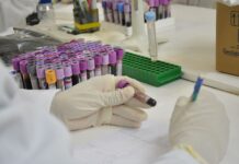 Polícia Científica identifica quatro corpos localizados entre os anos de 2022 e 2024