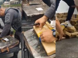 Motorista é preso com 140 kg de maconha ao ser abordado em operação da PM