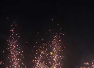 “Investir no Carnaboi é apostar na nossa identidade”, diz Mateus Assayag