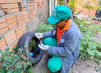Prefeitura de Parintins intensifica visitas domiciliares no combate às doenças transmitidas pelo Aedes Aegypti