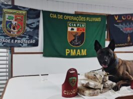 Base Tiradentes: Cão policial encontra seis quilos de entorpecentes escondidos em uma bolsa