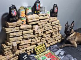 Base Arpão 2: PMAM apreende mais de 70 quilos de drogas escondidas em tubos de PVC e latas