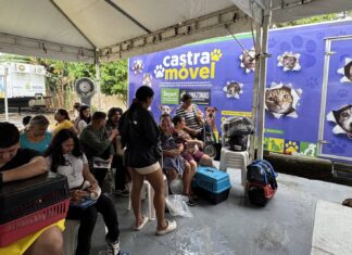 Governo do Amazonas promove ação de castração solidária de animais no bairro Betânia, zona sul da capital