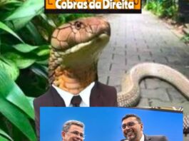 Wilson Lima no Governo: A estratégia de permanência para viabilizar a candidatura de Tadeu de Souza em 2026 após as fortes acusações de David contra ambos – Debate do grupo Cobras da Direita.